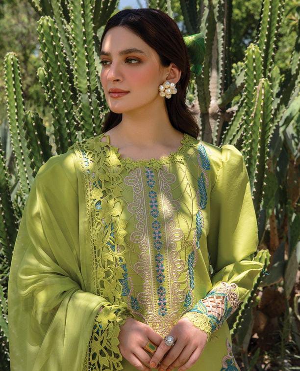 Presenting Rang Rasiya Brand Luxury Embroidered Article Winter Collection 2025 Fabric Premium 3-piece Dhanak Suit with Wool Pashmina Embroidered Shawl