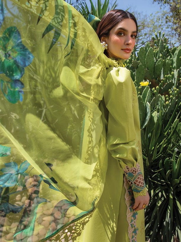 Presenting Rang Rasiya Brand Luxury Embroidered Article Winter Collection 2025 Fabric Premium 3-piece Dhanak Suit with Wool Pashmina Embroidered Shawl - Image 4